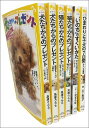 【プレゼントにおすすめ!】集英社みらい文庫 心あたたまる動物 (集英社みらい文庫)