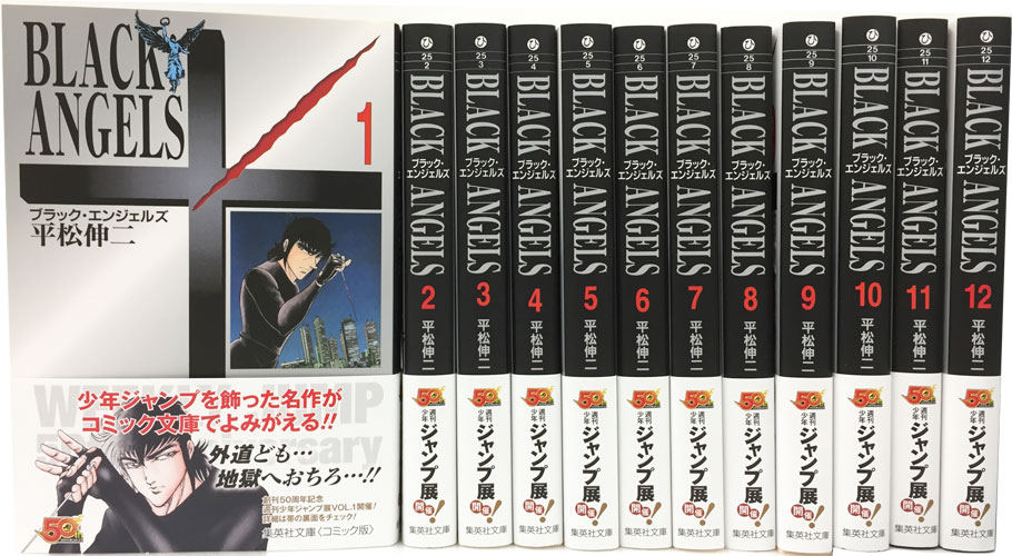 ブラック・エンジェルズ 文庫版 コミック 全12巻 完結セット