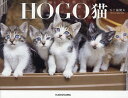 HOGO猫（1） 五十嵐健太