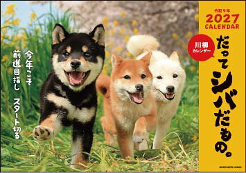 ○アクティブコーポレーション柴犬 犬 イヌ ダッテシバダモノ。 発行年月：2026年08月 予約締切日：2026年07月07日 ISBN：4990012509645 本 カレンダー・手帳・家計簿 カレンダー 動物・自然