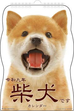 ○アクティブコーポレーション柴犬 犬 イヌ シバイヌデス 発行年月：2026年08月 予約締切日：2026年07月07日 ISBN：4990012509652 本 カレンダー・手帳・家計簿 カレンダー 動物・自然