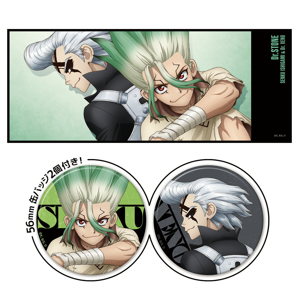 楽天市場】dr.stone ゼノ（ホビー）の通販