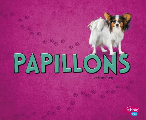 Papillons PAPILLONS （Tiny Dogs） 