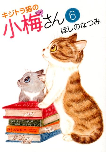 キジトラ猫の小梅さん（6）