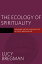 ŷ֥å㤨The Ecology of Spirituality: Meanings, Virtues, and Practices in a Post-Religious Age ECOLOGY OF SPIRITUALITY [ Lucy Bregman ]פβǤʤ10,472ߤˤʤޤ