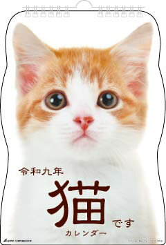 猫です