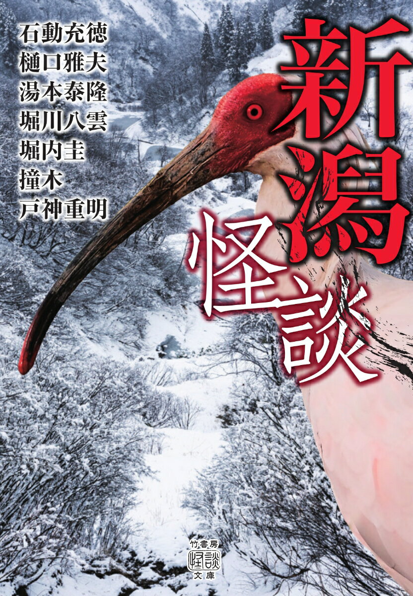 越後国・佐渡の怪異体験を取材したご当地怪談集。新潟駅近隣のビルに置かれた呪いの化粧ポーチ…「古びたポシェット」（新潟市中央区）、川に引きずり込もうとする白い手首…「阿賀野川に出たモノ」（五泉市）、雪のほくほく街道を歩く老母。車に乗せると墓地に連れて行かれ…「街道婆」（上越市）、空襲の犠牲者たちの幻が立つ川…「生と死の水面で」（長岡市）、間瀬銅山跡の山道に出る女の霊と不思議な写真…「廃鉱山」（新潟市西蒲区）、狸に化かされた男の話…「佐渡の狸は」（佐渡島）、海水浴場の駐車場に現れる溺死した男の車の幻…「海辺のクラクション」（柏崎市）、上の原公園のお松の池で憑かれた女性の怪異…「弁天様の悪戯」（南魚沼市）他、４０話収録！