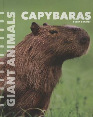 Capybaras CAPYBARAS （Giant Animals） 
