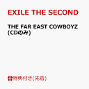 THE FAR EAST COWBOYZ(オリジナルポスター) [ EXILE SECOND ]