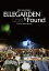 「ELLEGARDEN : Lost & Found」【Blu-ray】