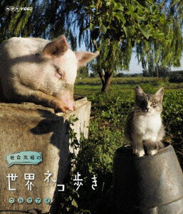 岩合光昭の世界ネコ歩き ウルグアイ【Blu-ray】