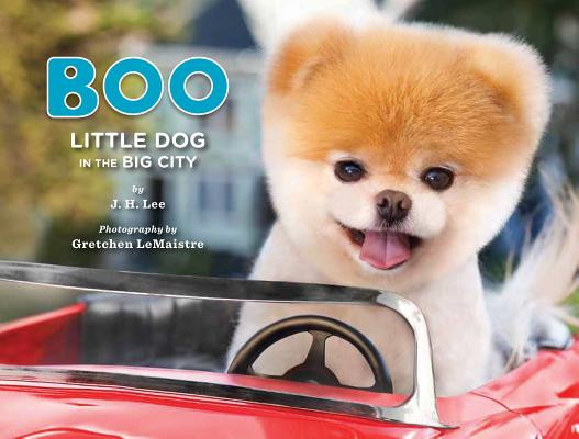 BOO:LITTLE DOG IN THE BIG CITY(H)