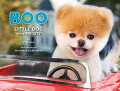 Everyone's favorite dog is back and cuter than ever! Following up on the internationally bestselling "Boo: The Life of the World's Cutest Dog," this latest volume features Boo's adventures in the big city.