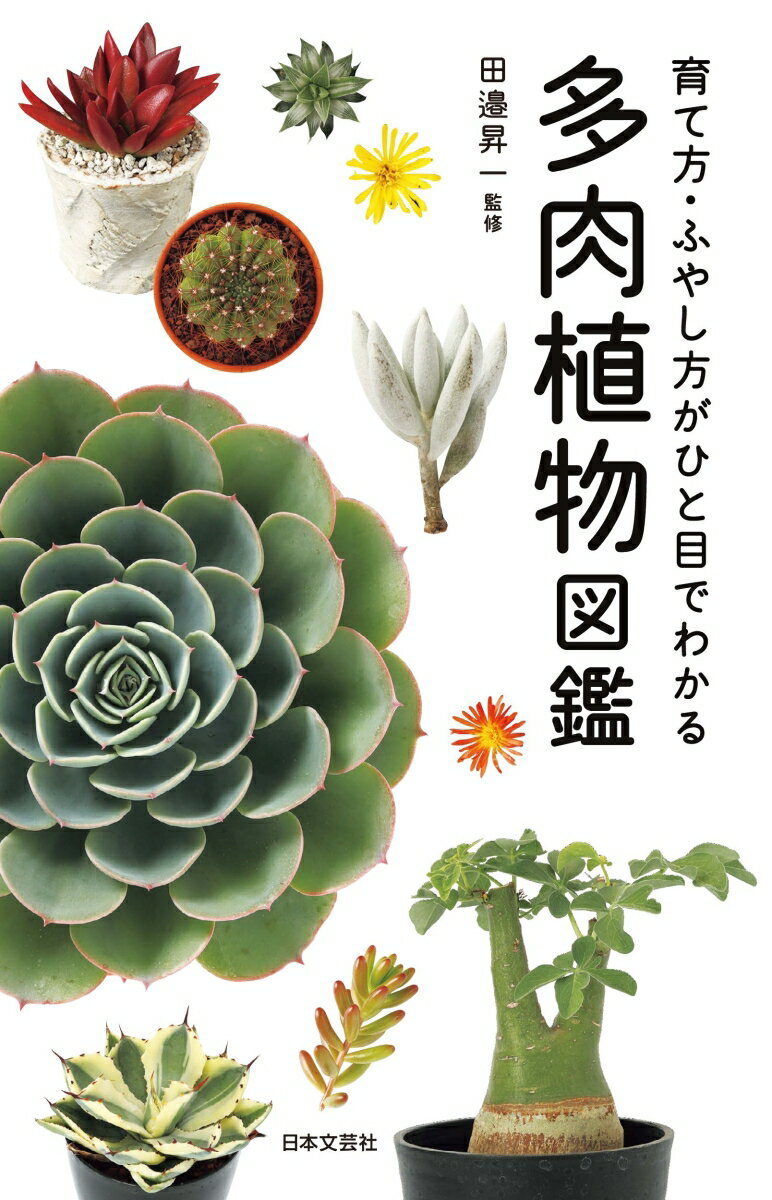 育て方・ふやし方がひと目で分かる 田邉 昇一 日本文芸社タニクショクブツズカン タナベ ショウイチ 発行年月：2022年02月15日 予約締切日：2021年12月02日 ページ数：384p サイズ：単行本 ISBN：9784537219722 田邉昇一（タナベショウイチ） 1949年生まれ。神奈川県川崎市にある多肉植物専門店「タナベフラワー」店主。常時600種を超える豊富な品ぞろえを誇る。販売商品用のハウスのほか、育成用のハウスも見学が可能で、多くの多肉植物ファンを魅了する人気ショップ。かつては市場向けに花壇苗の生産販売を行っていたが、2010年、少年期から大好きだったサボテン・多肉植物を扱う多肉植物専門の生産直売に転換し、現在に至る。栽培の基本である土については、改良を重ね、ほぼ完成段階にあるが、さらなる改良を研究中（本データはこの書籍が刊行された当時に掲載されていたものです） 多肉植物図鑑（ベンケイソウ科／ツルボラン科／トウダイグサ科／ハマミズナ科／キジカクシ科　ほか）／栽培の基礎知識（株選びと栽培のポイント／置き場所は「屋外」が基本／日差し・湿度・温度対策／水やりの基本／土と肥料　ほか） 国内で入手可能な997種。お気に入りが、きっと見つかる！ 本 ビジネス・経済・就職 産業 農業・畜産業 美容・暮らし・健康・料理 ガーデニング・フラワー 花 美容・暮らし・健康・料理 ガーデニング・フラワー 観葉植物・盆栽