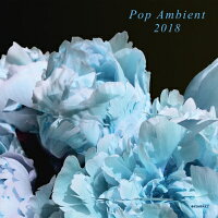 【輸入盤】Pop Ambient 2018