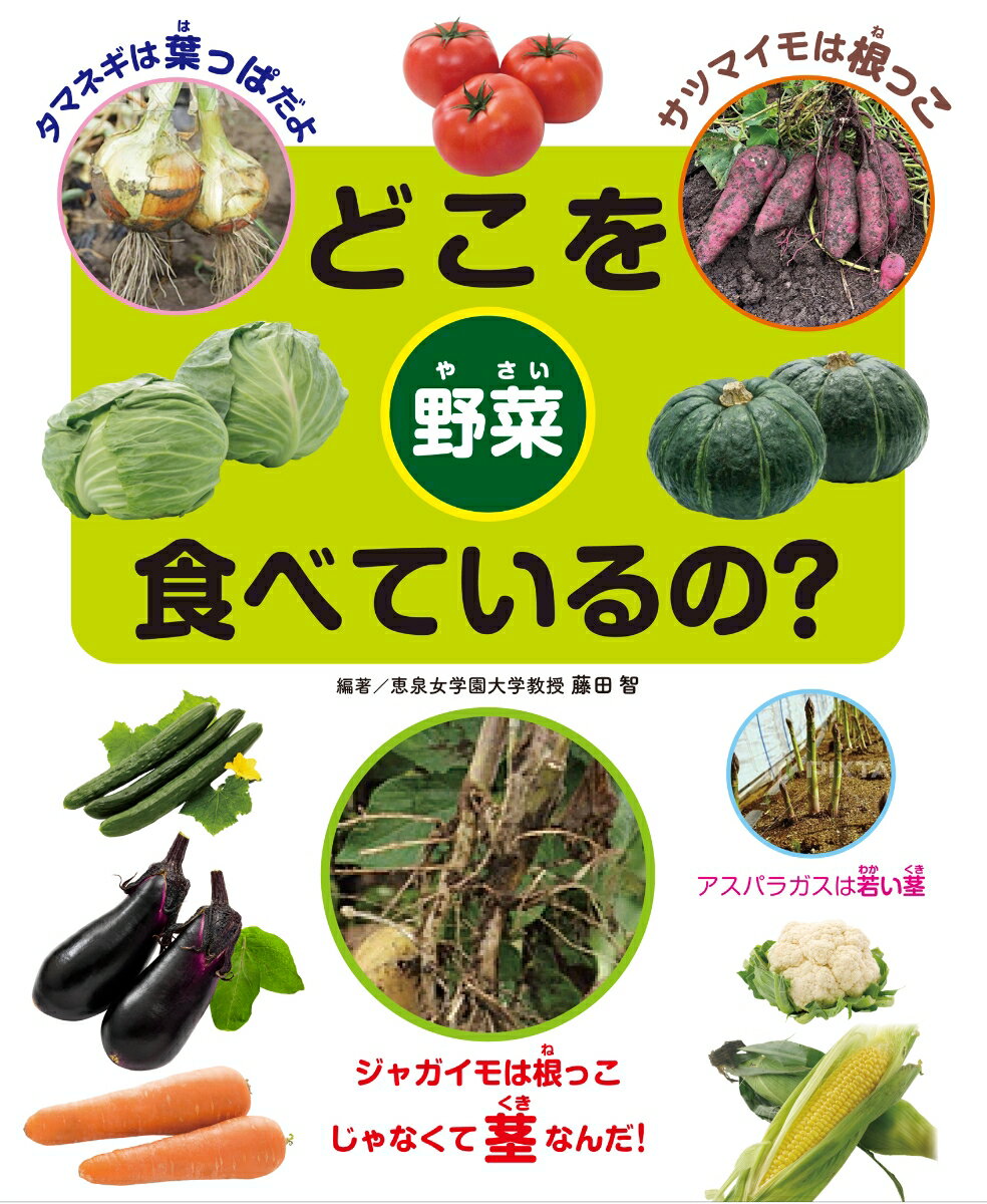 どこを食べているの？野菜 （どこを食べているの？野菜とくだもの） [ 藤田　智 ]