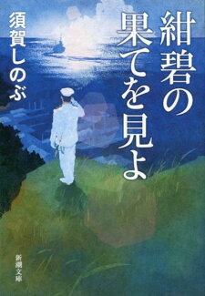 紺碧の果てを見よの表紙