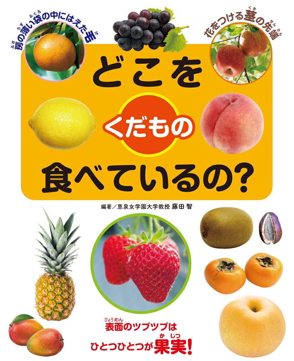 どこを食べているの？くだもの （どこを食べているの？野菜とくだもの） [ 藤田　智 ]