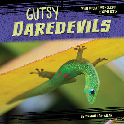 Gutsy Daredevils GUTSY DAREDEVILS （Wild Wicked Wonderful Express） 