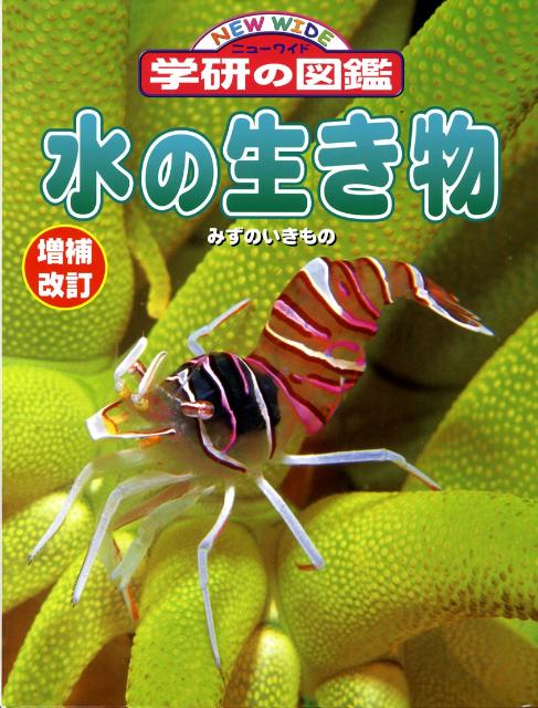 水の生き物増補改訂 （ニューワイド学研の図鑑）