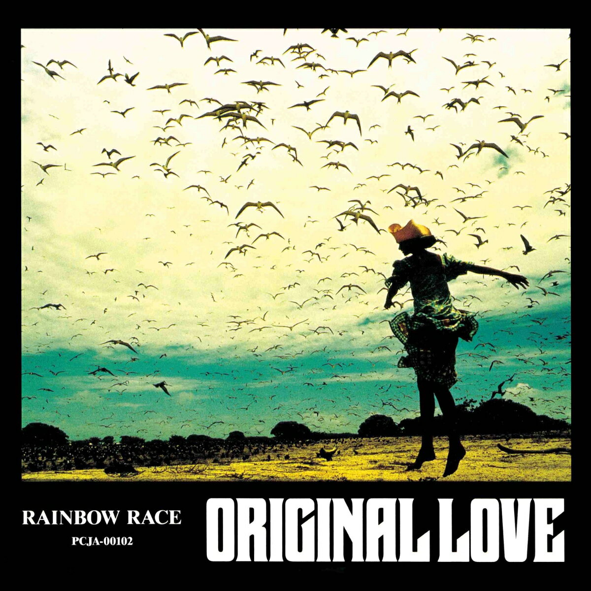 RAINBOW RACE【アナログ盤】 [ Original Love ]
