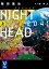 NIGHT HEAD 2041（上）