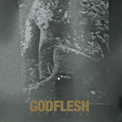 【輸入盤】Pure: Live [ Godflesh ]