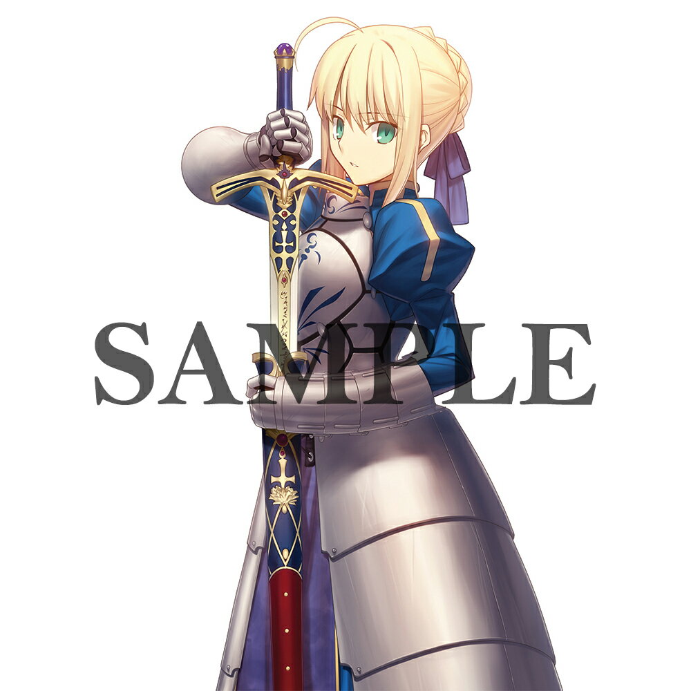 「Fate/stay night」武内崇イラスト B2タペストリー〈セイバー〉【グッズ】