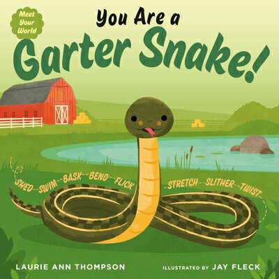 You Are a Garter Snake! YOU ARE A GARTER SNAKE （Meet Your World） [ Laurie Ann Thompson ]