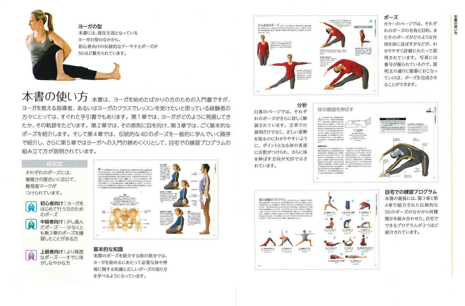よくわかる理論と実践　ヨーガ [ ジェニー・ビトルストン ]