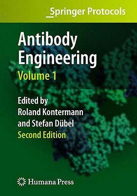 Antibody Engineering Volume 1 ANTIBODY ENGINEERING V01 2010/ （Springer Protocols） [ Roland E. Kontermann ]