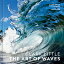 CLARK LITTLE:THE ART OF WAVES(H)