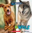 Dog or Wolf (Wild World: Pets and Wild Animals) DOG OR WOLF (WILD WORLD PETS & (...