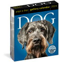 Dog Page-A-Day Gallery Calendar 2024: An Elegant Canine Celebration DOG PAGE-A-DAY GALLERY CAL 202 [ Workman Calendars ]