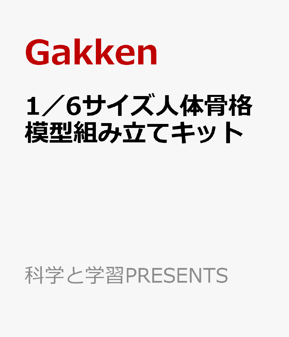 1／6サイズ人体骨格模型組み立てキット