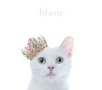 BEST SELECTION ”blanc” (初回限定盤B CD＋DVD) [ Aimer ]