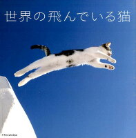 世界の飛んでいる猫