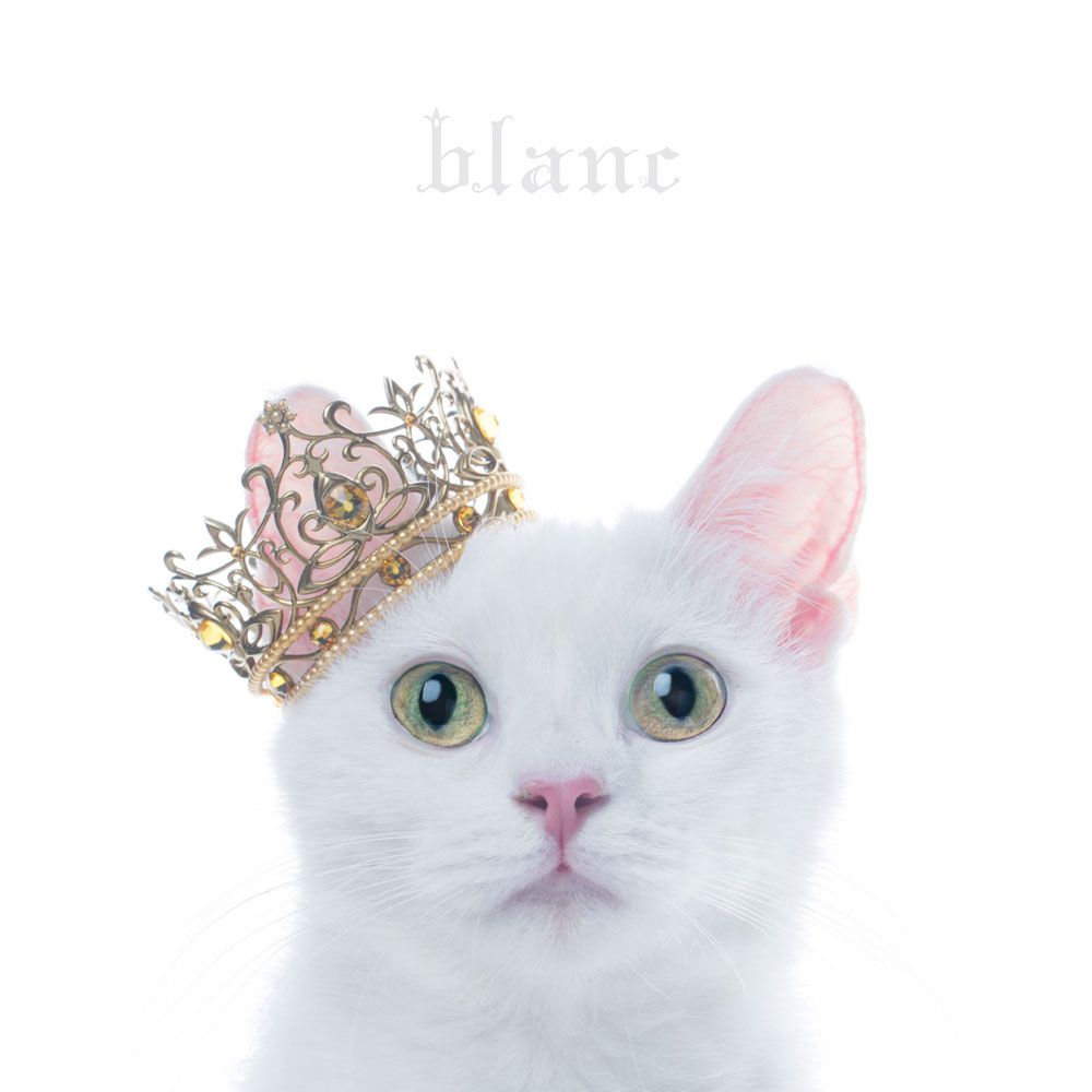 BEST SELECTION ”blanc” [ Aimer ]