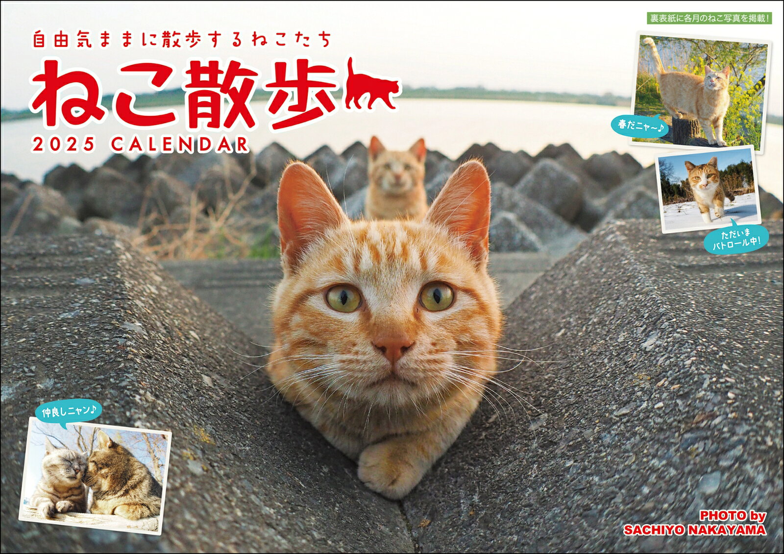 2025 中山祥代ねこ散歩カレンダー