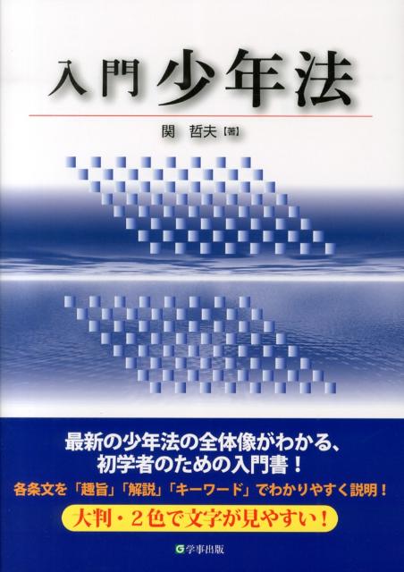 入門少年法