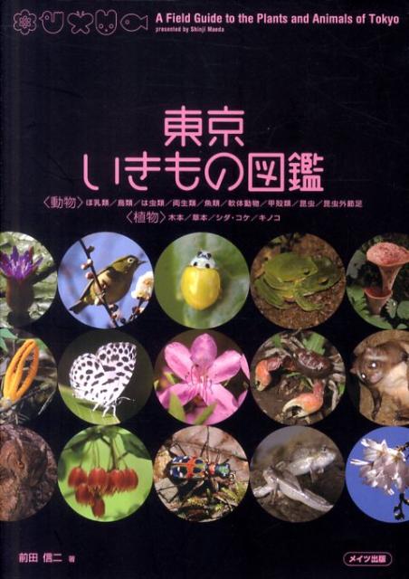東京いきもの図鑑 [ 前田信二 ]