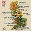 【輸入盤】Wind Quintet-york Bowen, Spain-dunk, G.jacob, Mcewen, Holst, K.jenkins: Camarilla Ensemble (Hyb)