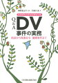 Q＆A　DV事件の実務