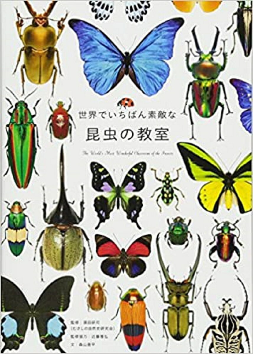 世界でいちばん素敵な昆虫の教室 [ 須田研司（むさしの自然史研究会） ]