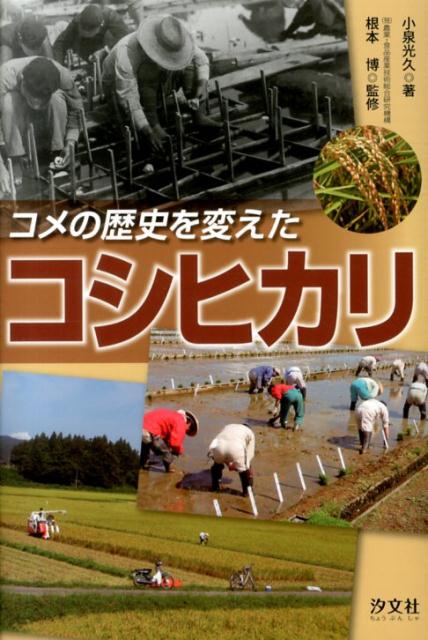 コメの歴史を変えたコシヒカリ