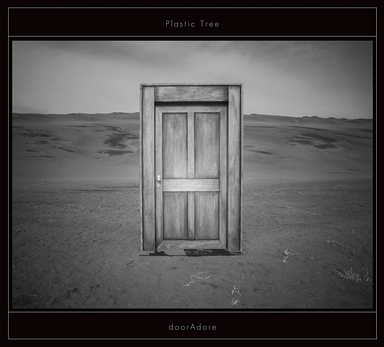 doorAdore (完全生産限定盤A CD＋DVD＋フォトブック) [ Plastic Tree ]のサムネイル