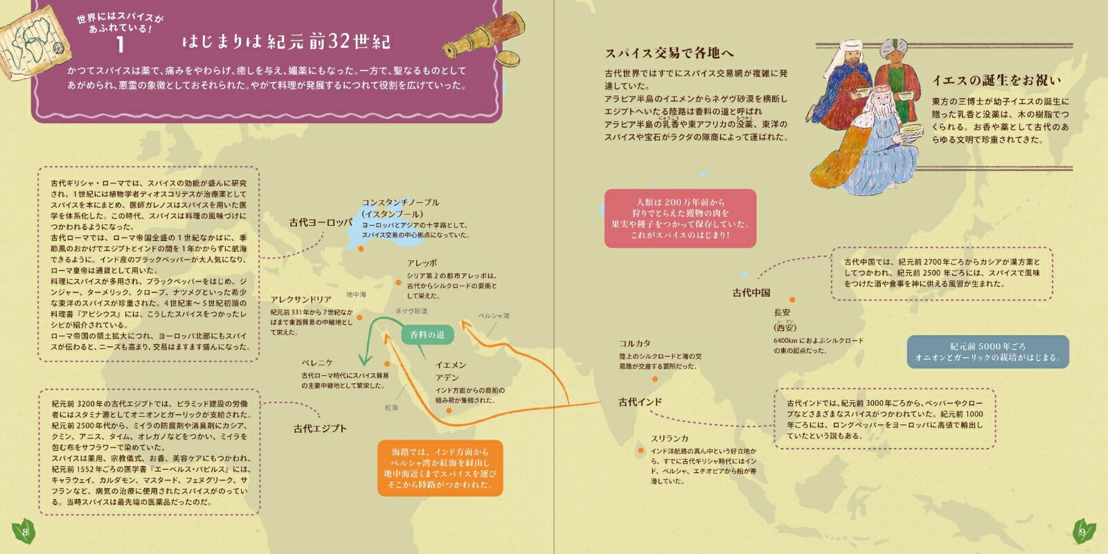 ��ͻ��֤�̣�臘 ���Τ������ѥ������� [ ���� ���� ]