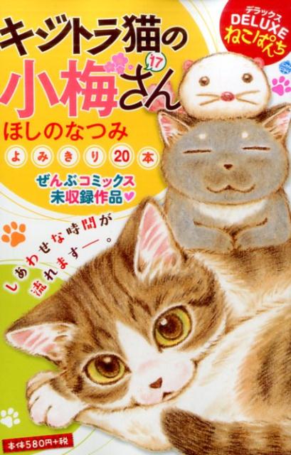 デラックスねこぱんち　キジトラ猫の小梅さん’17