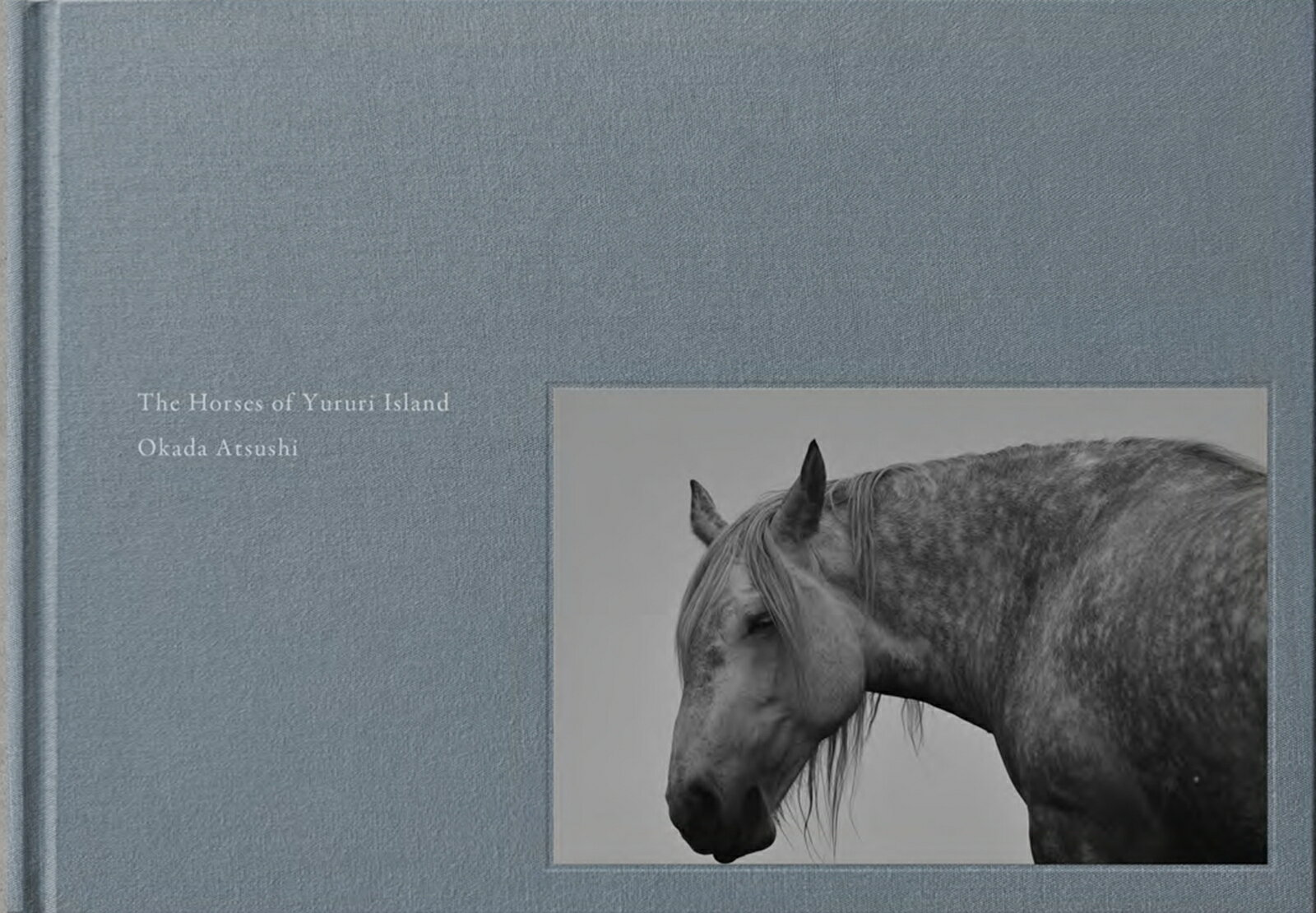 The Horses of Yururi Island ユルリ島の馬