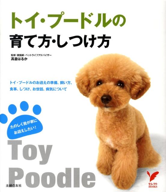 トイ・プードルの育て方・しつけ方